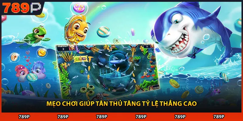 Mẹo chơi giúp tân thủ tăng tỷ lệ thắng cao